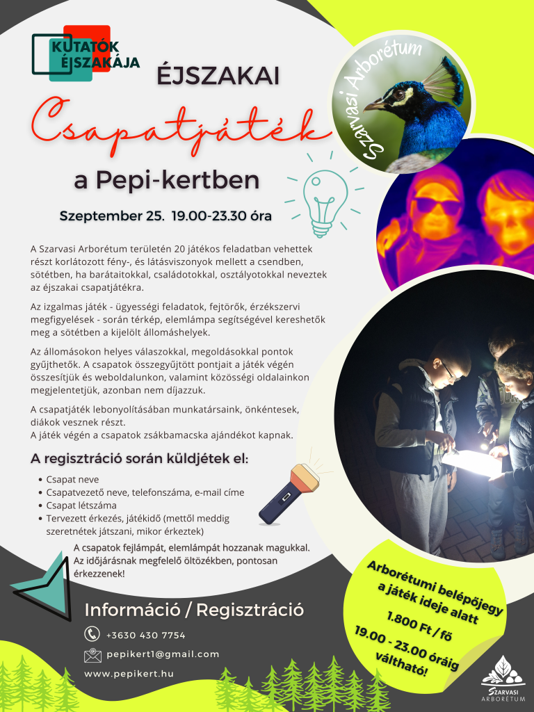 Éjszakai csapatjáték 2026P